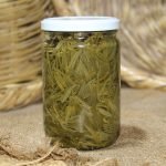 Sea Weed