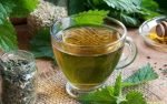 Nettle Tea