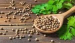 Coriander Seeds