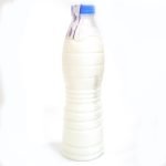 Cow's milk
