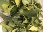 Dried leek