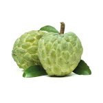 Organic Kashta