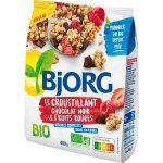 Bjorg Dark Chocolate and Red Fruit Crisp